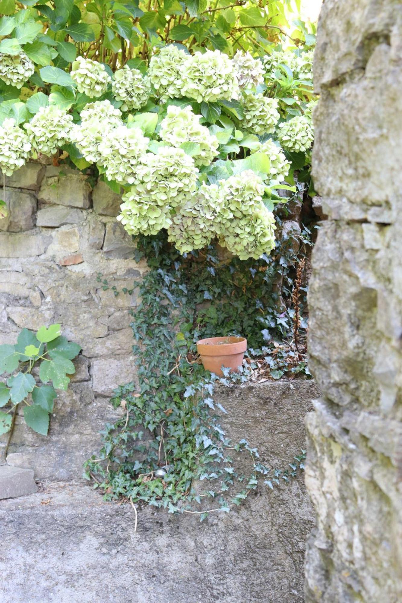 Carpe diem Colognora Villa Vetriano Esterno foto