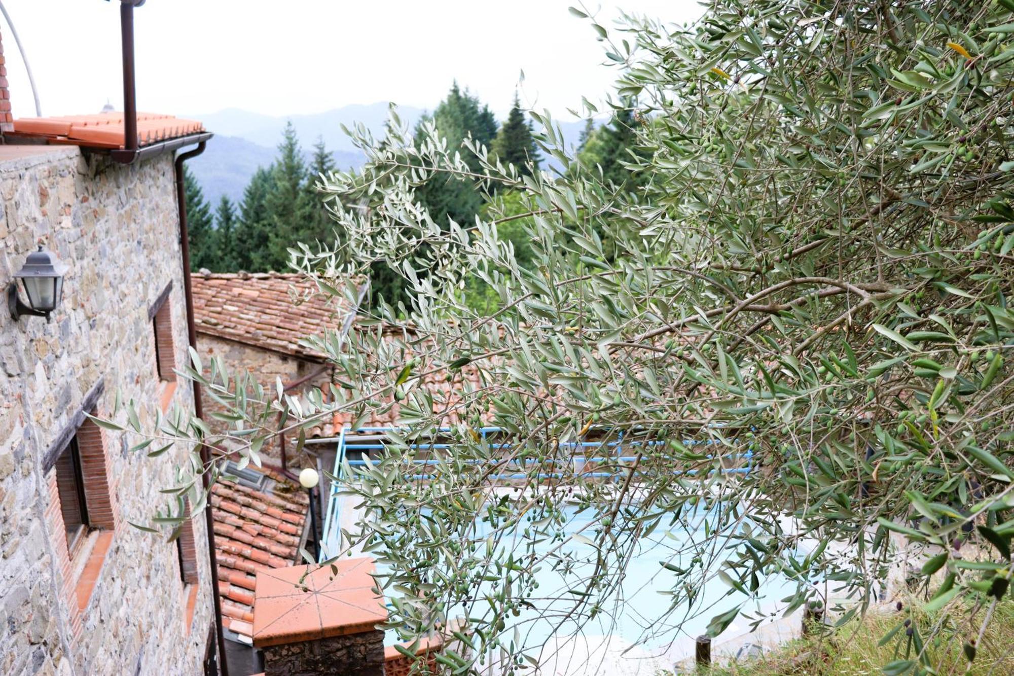 Carpe diem Colognora Villa Vetriano Esterno foto